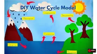 Water Cycle Model For School Project/ DIY Water Cycle 2D Model/ How To Make Water Cycle Model