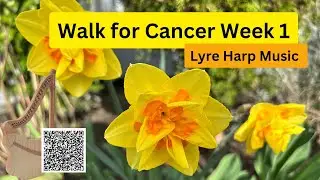 Walk for Cancer Week 1 Lyre Harp Music -Featuring Roosebeck Lute Harp