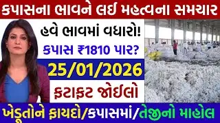 Kapas na bhav | 26-01-2026 | કપાસના ભાવ:2026| Information about Cotton Crop Price | Commodity trends