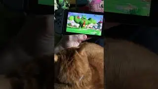 Граю в приставку #графіка #pets #cat #chat #mariorabbids #gaming #cute #nintendoswitch #games #mario