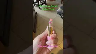 Winky Lux Dupe? Dollar Tree #dollartree #dollartreefinds #dollartreeshopper #likeandsubscribe