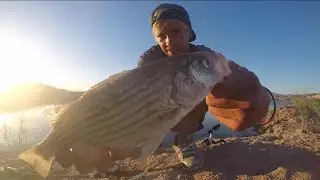Lake Mead Fishing 2017 - Catching Catfish & Striped Bass