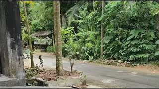 the atmosphere of my village during the day