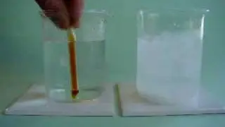 Dynamic Equilibrium between Nitrogen Dioxide and Dinitrogen Tetroxide