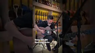 What's the best folk guitar? Martin 000-15M vs Maton EBW808 | Guitarstore.ae