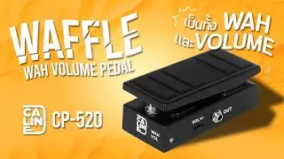 Caline CP520 Waffle | Wah Volume Pedal ใช้ดี อย่าตัดสินด้วยราคา เพราะเราขายถูก ราคา 1,640.-