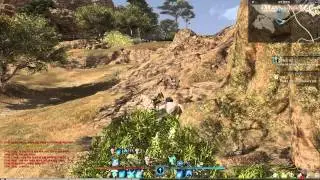 Bless online CBT Day 3 part 2