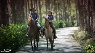 Conheça o Campolina Canto Verde