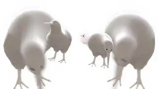 🥝