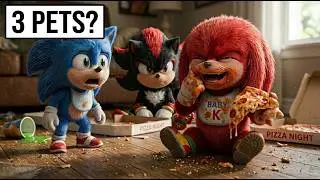 I Simulated Playing Sonic Shadow Knuckles PETS in Real Life