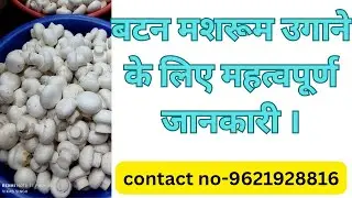मशरूम उगाने लिए महत्वपूर्ण जानकारी
