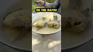 Cooking Big Bluegill on the Bayou