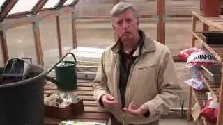 Vegetable seeds to sow in early April (indoors and outdoors)