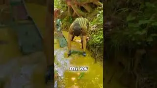 This Algae is More Valuable Than Gold?! 🤯💸
