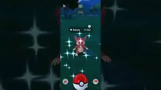 ✨SHINY ALOLAN RATTATA✨ | Pokemon GO