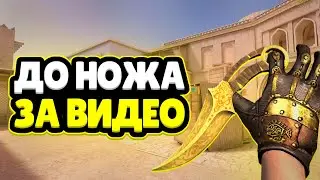 Трейд До НОЖА За ОДНО Видео | Купил Нож За Видео