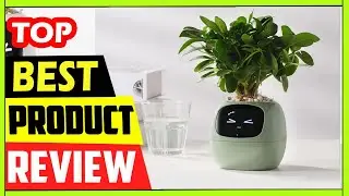 Best Tuya Ivy Smart Planter Review