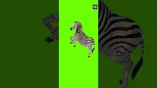 zebra 🦓 walking, running, dying Green Screen Animal character No copyright information#shortviral