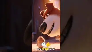 H&eacute;risson contre x chien de garde 🐶🤣🤣🤣#shorts #explore #funny #kids