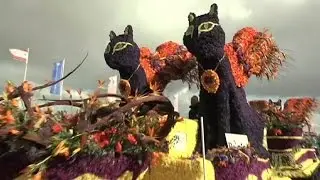 Netherlands flower parade in full bloom