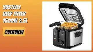 REVIEW (2026): SUSTEAS Deep Fryer 1500W 2.5L. Features