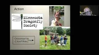 September 2021 Duluth Audubon Program: Introduction to Dragonflies with Kurt Mead
