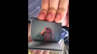 An Internet Meme in Flipbook Form