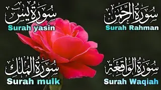 Beautiful surah yaseen🌹episode0316 Rahman yasen tilawat arbic HD✨Beautiful recitation🤲Barik2.0