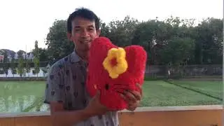 BANFOT 2 IN 1
