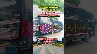 Bus Eldivo vs PT RAPI