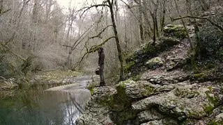 Slow Living - A Simple Life In The Woods #53