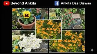 Bengali Garden Vlog | My Home Garden TourJanuary 2026 | বাড়ির বাগান  | Gardening Vlog | Plant Tour