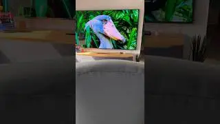 Hisense 110UX | 110 Zoll Mini-LED Flaggschiff mit 10.000 nits & 40.000 Dimming-Zonen