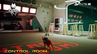 Stray: Control Room (No Commentary) PlayStation 5 Pro