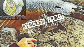 Taco's Tip Fishing for stocked Trout in Maryland
