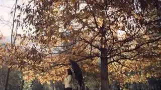 JASNA GOSPIĆ - LIŠĆE SA BALKANA (official video)