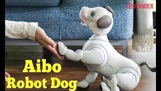 Introducing SONY's Smart DOG Robot 2018 | By Tech Knock