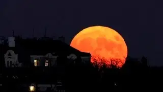 Largest supermoon since 1948 lights up the sky