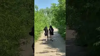 Вайб #funny #fyp#youtube #youtubeshorts #live #vibes #вайб #лето2024 #рек #рекомендации #shortsvideo