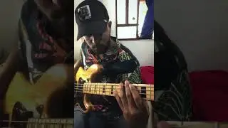 Phenomena (DA DA) [Official Live Video] - Hillsong Young & Free ( BASS COVER )
