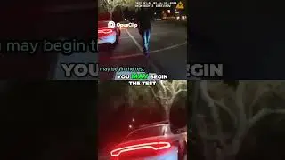 DUI Investigation  Dog Aggression & Scott's Drinking!