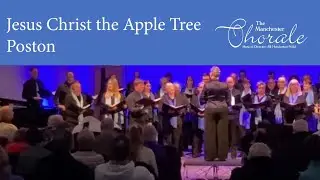Jesus Christ the Apple Tree