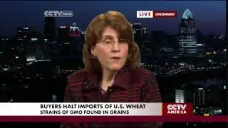 Louise Gartner on the US Wheat Industry