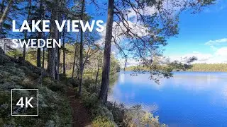 4K Virtual Walk in Sweden &ndash; Forest Trail to Lake