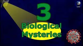 Where did viruses come from ? - 3 Biological Mysteries