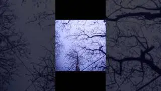 #trending #trendingreels #fyp #skyphotography #sky #viral #viralreels #skyporn#shorts