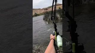 Figuring it out #bowfishing #archery #hunting #fishing #shorts