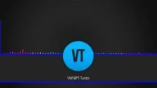 Roof Boot - Shank Aaron [VeNiiM Tunes]