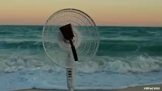 Shinic Pedestal Fan - I've Been Used