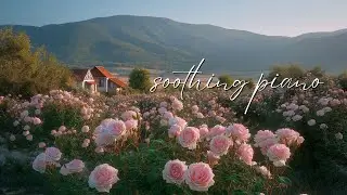 a soft playlist for a slow day at home 🍃 soothing piano for reading, studying & focus - my dear 💌💝
